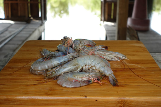 16/20 ct Shrimp Head-On